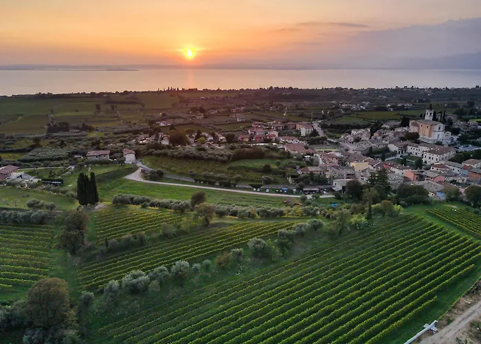 Villa CalicantusVilla